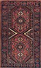 Hamedan Red Hand Knotted 44 X 73  Area Rug 100-11875 Thumb 0