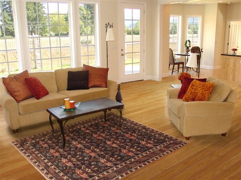 Bakhtiar Red Hand Knotted 43 X 63 Area Rug 100-11879 Image 5