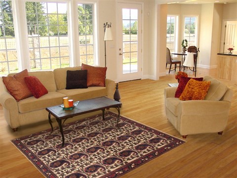 Shahre Babak Beige Hand Knotted 41 X 60 Area Rug 100-11880 Image 5