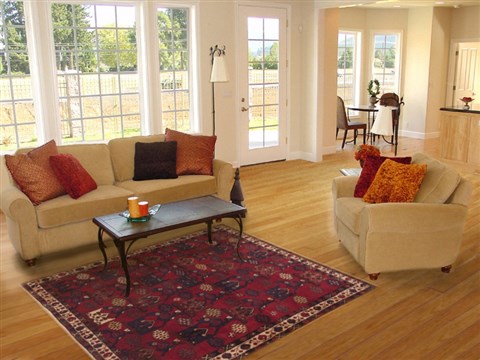 Sirjan Red Hand Knotted 50 X 78 Area Rug 100-11886 Image 4