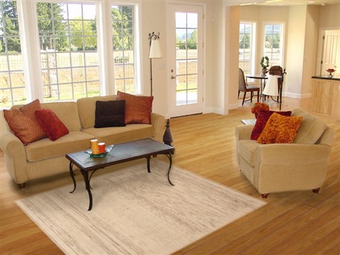 Gabbeh Beige Hand Knotted 53 X 78 Area Rug 100-11888 Image 4