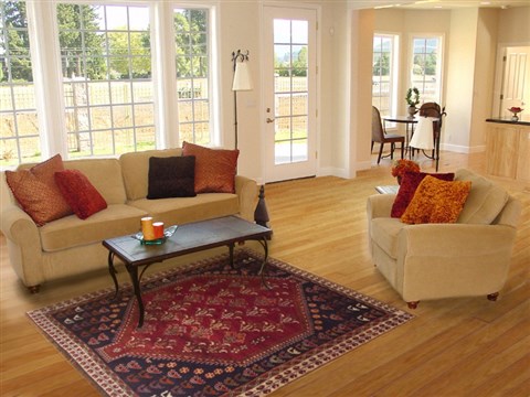 Qashqai Red Hand Knotted 50 X 79 Area Rug 100-11915 Image 4