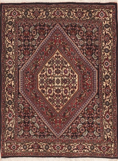Bidjar Red Hand Knotted 23 X 30  Area Rug 100-11936 Image 0