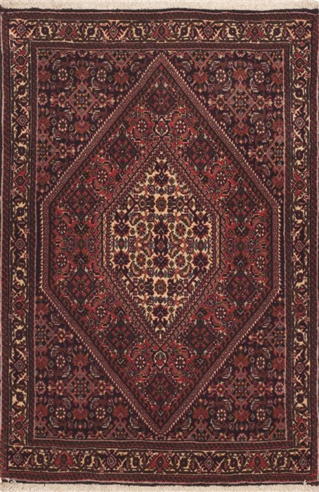 Bidjar Red Hand Knotted 23 X 36  Area Rug 100-11937 Image 0