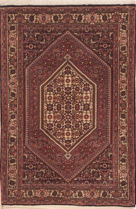 Bidjar Red Hand Knotted 25 X 36  Area Rug 100-11945 Image 0