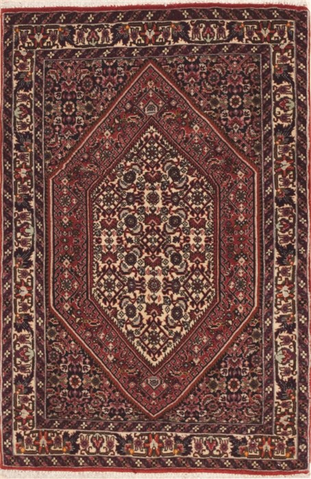 Bidjar Red Hand Knotted 23 X 35  Area Rug 100-11948 Image 0