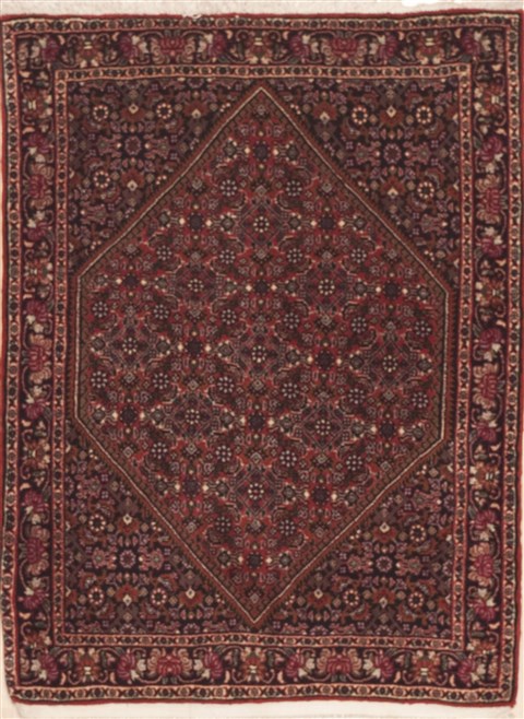 Bidjar Red Hand Knotted 25 X 33  Area Rug 100-11949 Image 0