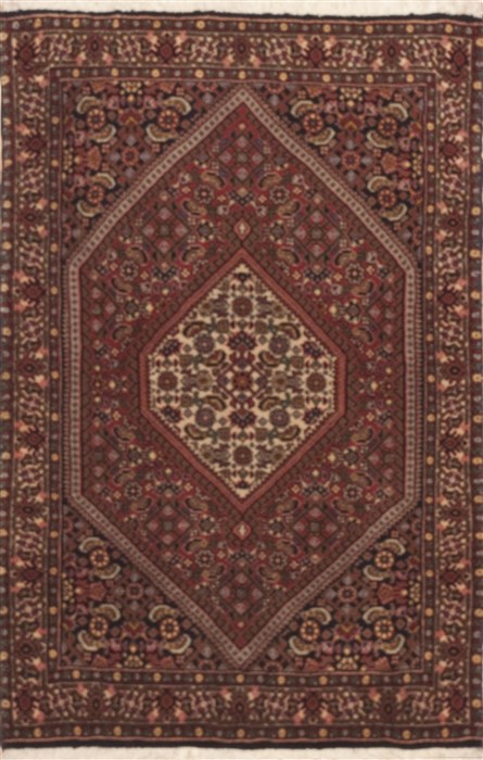 Bidjar Red Hand Knotted 22 X 35  Area Rug 100-11950 Image 0