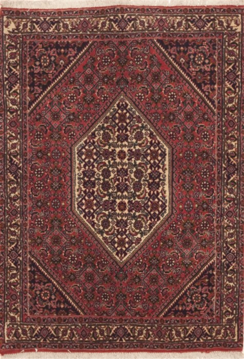 Bidjar Red Hand Knotted 24 X 35  Area Rug 100-11958 Image 0