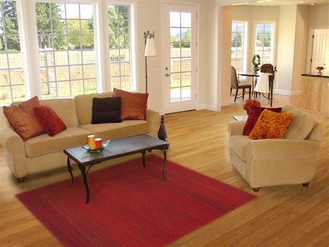 Gabbeh Red Hand Knotted 49 X 68 Area Rug 100-11980 Image 5