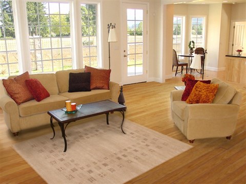 Gabbeh Beige Hand Knotted 48 X 69 Area Rug 100-11981 Image 5