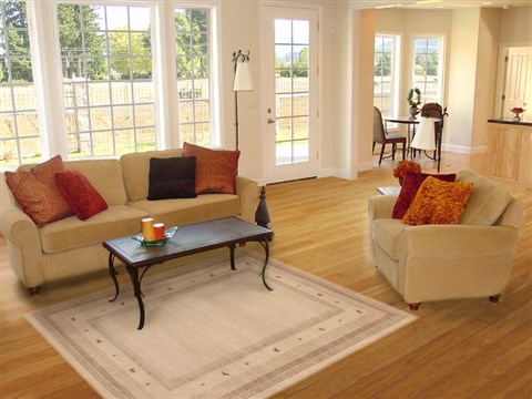 Gabbeh Beige Hand Knotted 49 X 68 Area Rug 100-11982 Image 5
