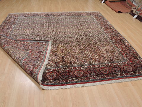 Bidjar Green Square Hand Knotted 81 X 83 Area Rug 100-110052 Image 11