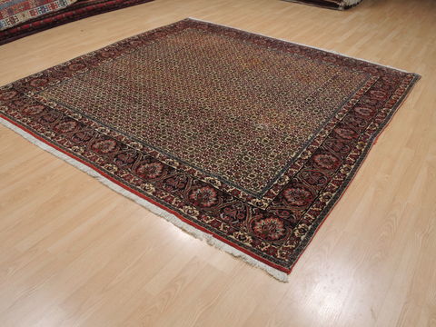 Bidjar Green Square Hand Knotted 81 X 83 Area Rug 100-110052 Image 2
