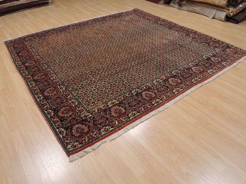 Bidjar Green Square Hand Knotted 81 X 83 Area Rug 100-110052 Image 3