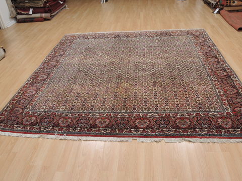 Bidjar Green Square Hand Knotted 81 X 83 Area Rug 100-110052 Image 4