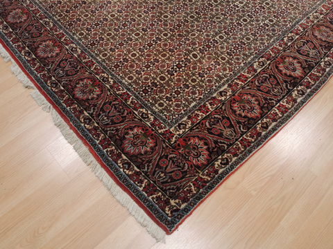 Bidjar Green Square Hand Knotted 81 X 83 Area Rug 100-110052 Image 6