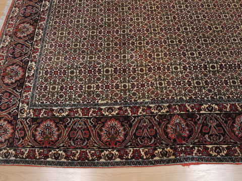 Bidjar Green Square Hand Knotted 81 X 83 Area Rug 100-110052 Image 7
