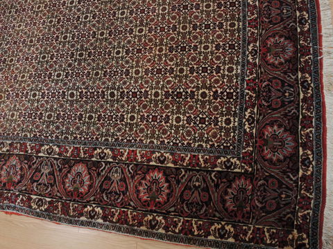 Bidjar Green Square Hand Knotted 81 X 83 Area Rug 100-110052 Image 8