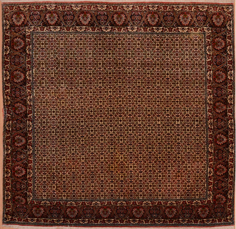 Bidjar Green Square Hand Knotted 81 X 83 Area Rug 100-110052 Image 0
