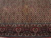 Bidjar Green Square Hand Knotted 81 X 83 Area Rug 100-110052 Thumb 5