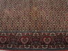 Bidjar Green Square Hand Knotted 81 X 83  Area Rug 100-110052 Thumb 5