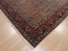 Bidjar Green Square Hand Knotted 81 X 83 Area Rug 100-110052 Thumb 6