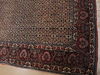 Bidjar Green Square Hand Knotted 81 X 83 Area Rug 100-110052 Thumb 8