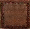 Bidjar Green Square Hand Knotted 81 X 83  Area Rug 100-110052 Thumb 0