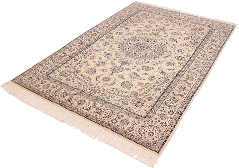 Nain Beige Hand Woven 45 X 67 Area Rug 254-110056 Image 4
