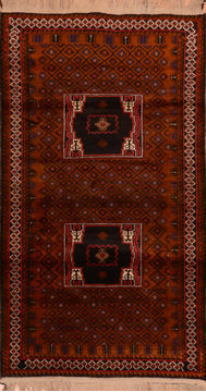 Baluch Brown Hand Knotted 3'5" X 6'1"  Area Rug 100-110255