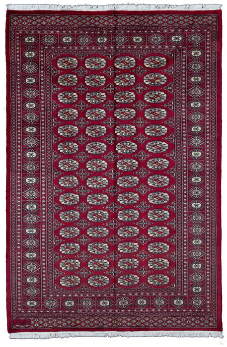Bokhara Red Hand Knotted 46 X 611  Area Rug 700-111141 Image 0