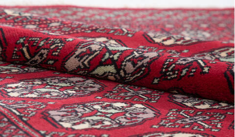 Bokhara Red Hand Knotted 47 X 65  Area Rug 700-111145 Image 7