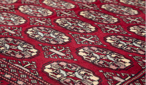 Bokhara Red Hand Knotted 47 X 66  Area Rug 700-111159 Image 3
