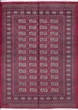 Bokhara Red Hand Knotted 4'8" X 6'6"  Area Rug 700-111165