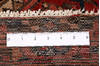 Zanjan Red Hand Knotted 311 X 71 Area Rug 99-111336 Thumb 16