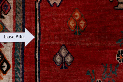 Shiraz Red Hand Knotted 41 X 60  Area Rug 99-111342 Image 16