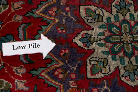 Tabriz Red Hand Knotted 31 X 43  Area Rug 99-111405 Image 11