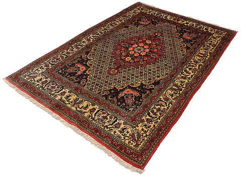 Bakhtiar Red Hand Knotted 42 X 64 Area Rug 254-111915 Image 6