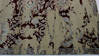 Modern Red Hand Knotted 79 X 910 Area Rug 902-112022 Thumb 1