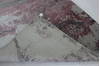 Modern Red Hand Loomed 54 X 79 Area Rug 902-112159 Thumb 3