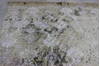 Jaipur Beige Hand Knotted 91 X 123 Area Rug 905-112230 Thumb 4
