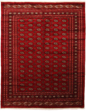 Bokhara Red Hand Knotted 9'3" X 11'8"  Area Rug 254-112369