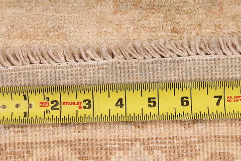 Ziegler Beige Hand Knotted 40 X 61 Area Rug 254-112419 Image 1