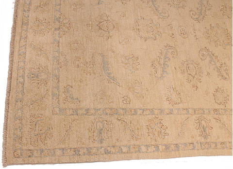 Ziegler Beige Hand Knotted 50 X 66 Area Rug 254-112422 Image 2