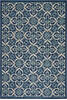 Nourison Caribbean Blue 67 X 96 Area Rug 805-112881 Thumb 0
