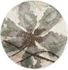 Nourison Euphoria Beige Round 710 X 710 Area Rug 805-113058 Thumb 0