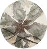 Nourison Euphoria Beige Round 710 X 710 Area Rug  805-113058 Thumb 0