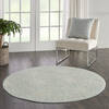 Nourison Jubilant Beige Round 53 X 53 Area Rug  805-113504 Thumb 5