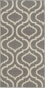 Nourison Jubilant Grey 2'0" X 4'0" Area Rug  805-113609